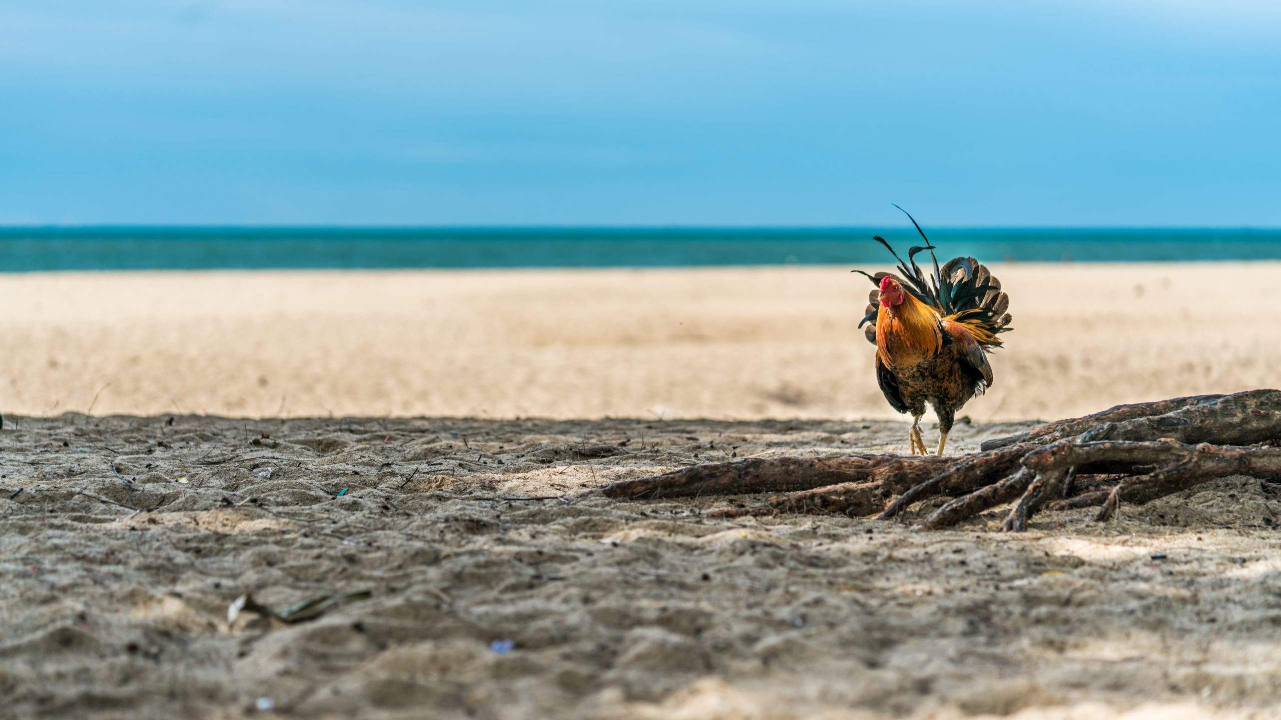 Hetzelfde water nog een keer naar de zee dragen? - Stalmeesters
